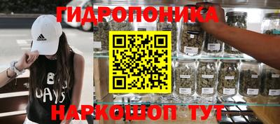 индика Малгобек