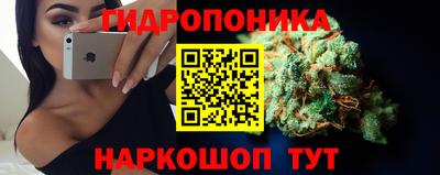индика Малгобек
