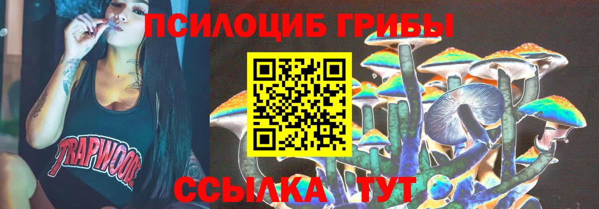 Десногорск  закладки  Вход с VPN  Псилоцибиновые грибы Psilocybe 